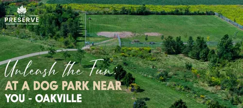 Explore the dog parks in Oakville, including leash-free zones. Discover top spots for your dog’s playtime | Preserve Oakville